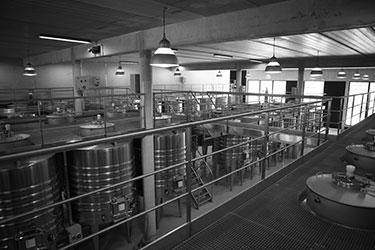 Department 66 Wine's wine factory